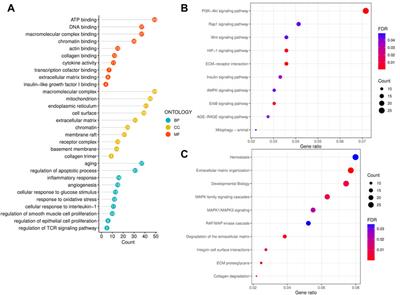 Uncovering the genetic links of diabetic erectile dysfunction and chronic prostatitis/chronic pelvic pain syndrome